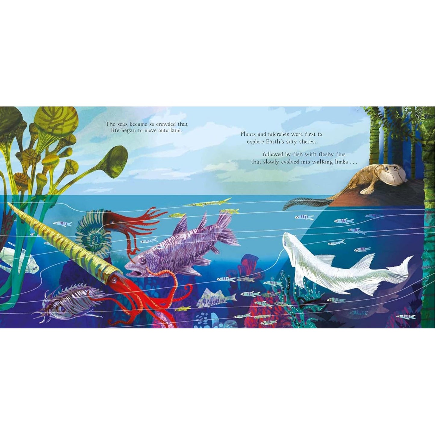 Frog - A Story of Life on Earth | Hardcover | Children's Book on Nature