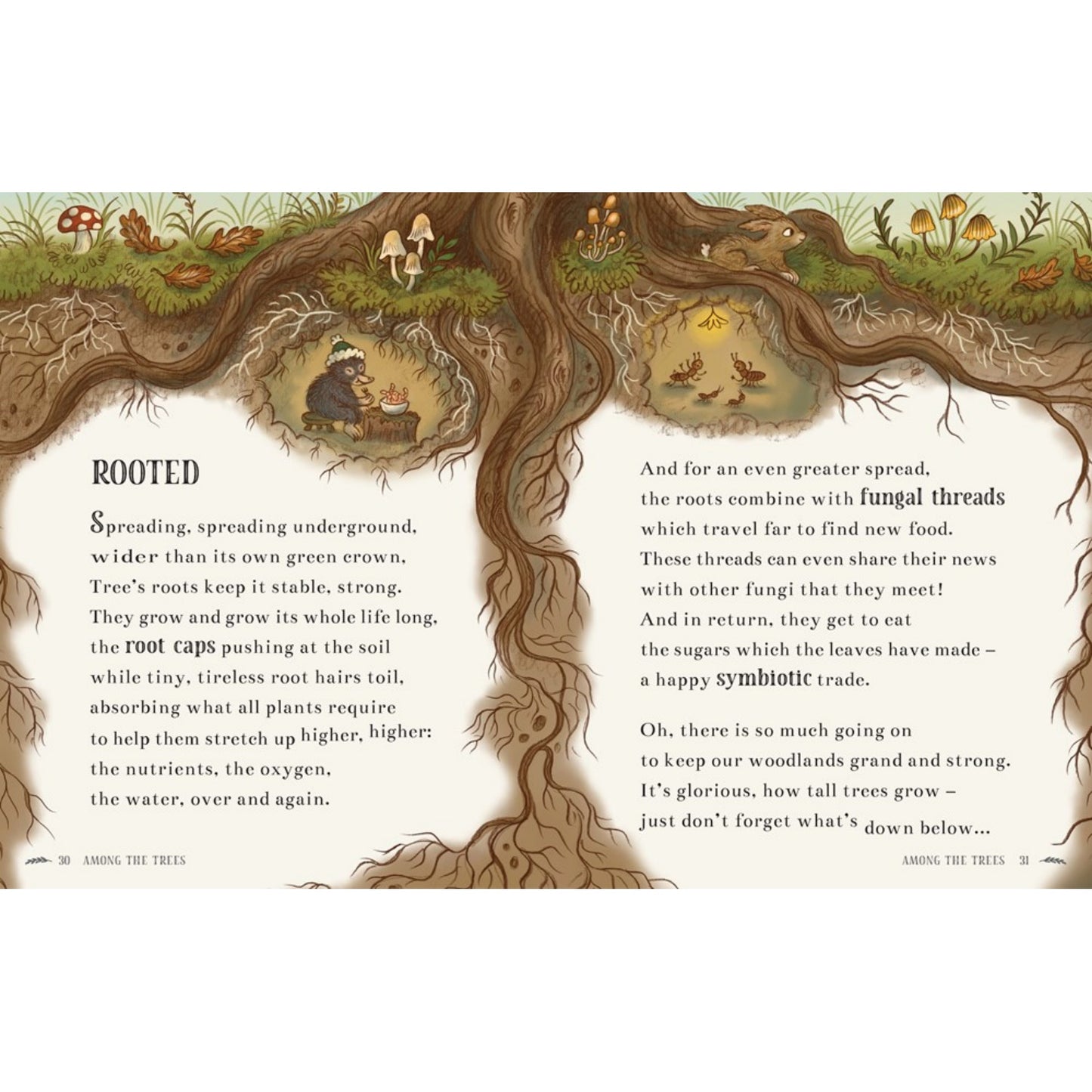 Wisdom of the Woods: 40 Poems to Treasure | Hardcover | Children's Books