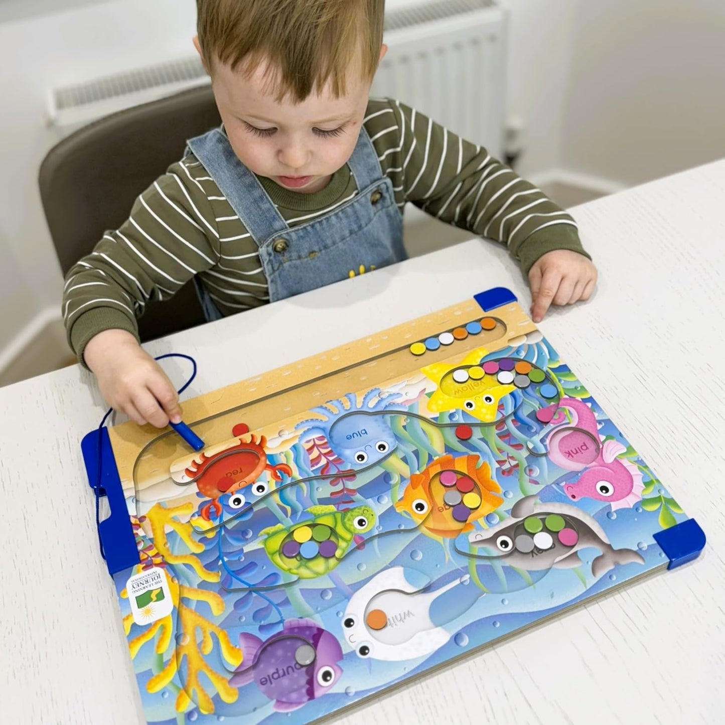 Colours Sea - Sort & Learn Magnetic Puzzles | Dexterity Game For Kids