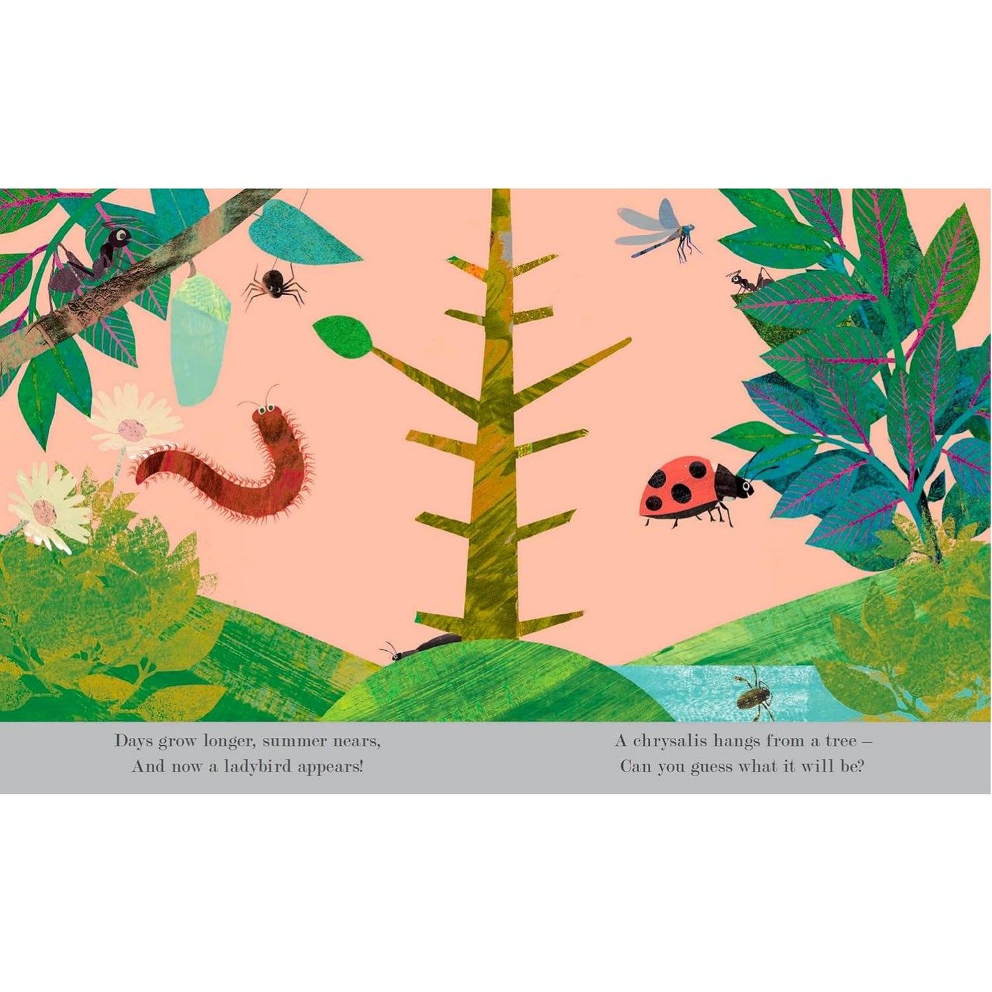 Bugs | Board Book | Children’s Board Book on Nature