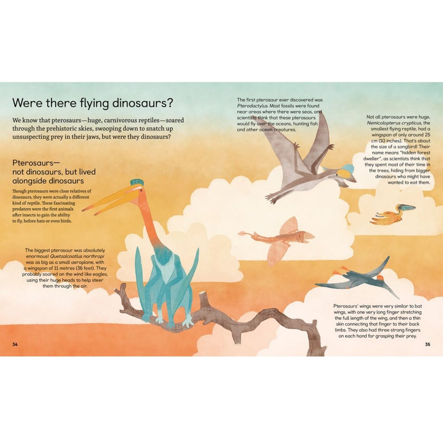Ask Me About… Dinosaurs: Questions and Answers About the Prehistoric World | Children’s Book on Dinosaurs