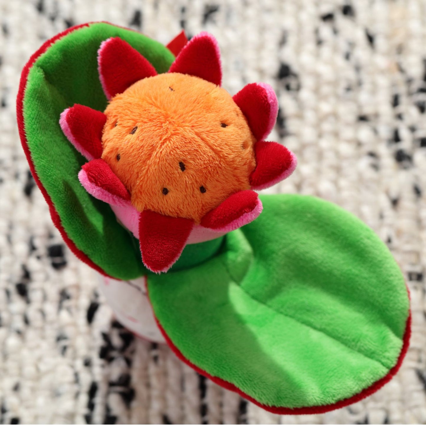 Ladybird & Flower | Reversible Crinkly Grasping Toy and Rattle | Baby’s First Soft Toy