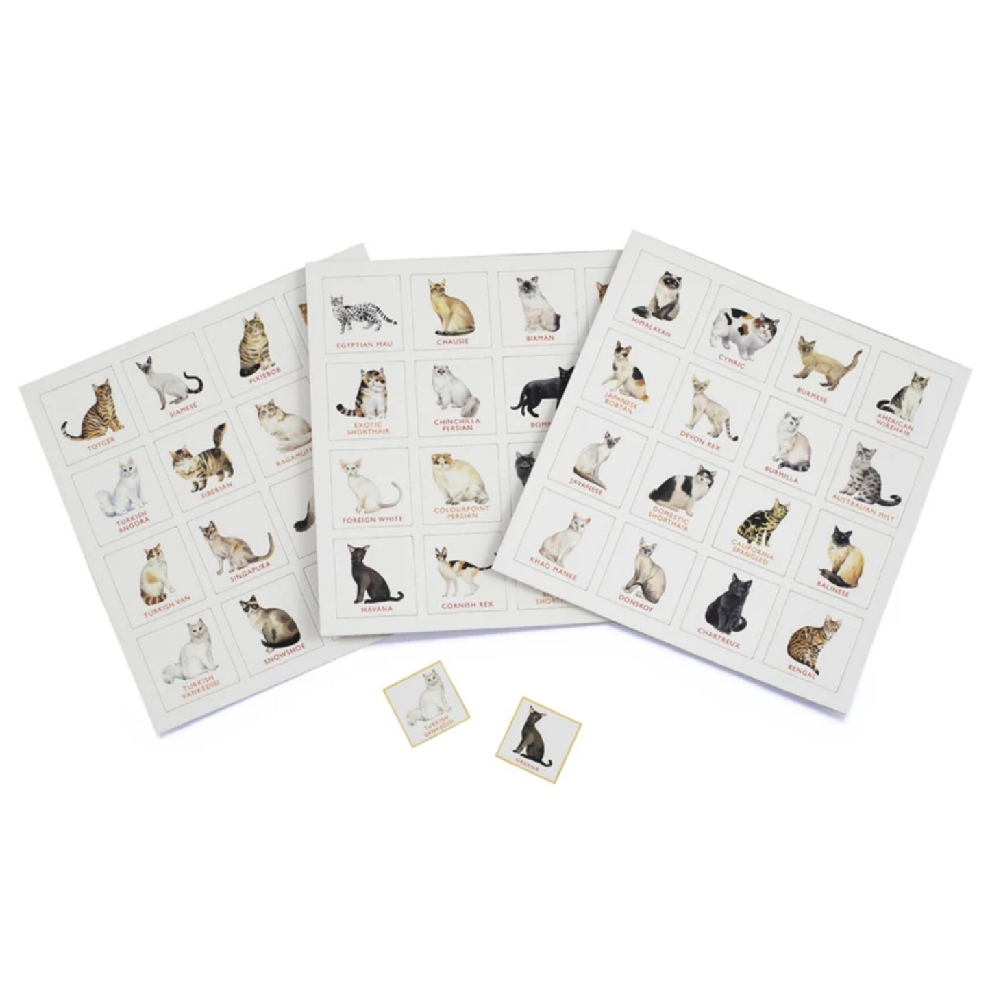 Cat Bingo | Children's Bingo Sets