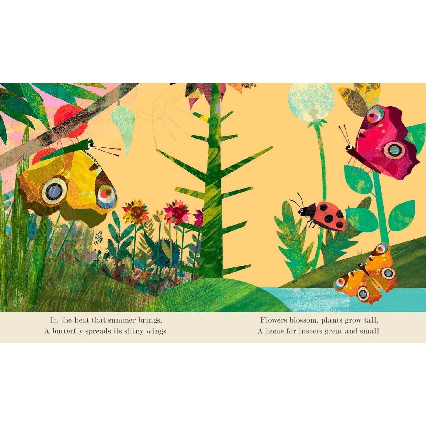 Bugs | Board Book | Children’s Board Book on Nature