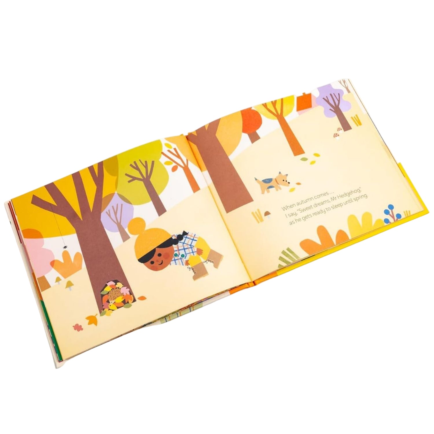 Illustrated children's book open to a page with a child in a forest setting.