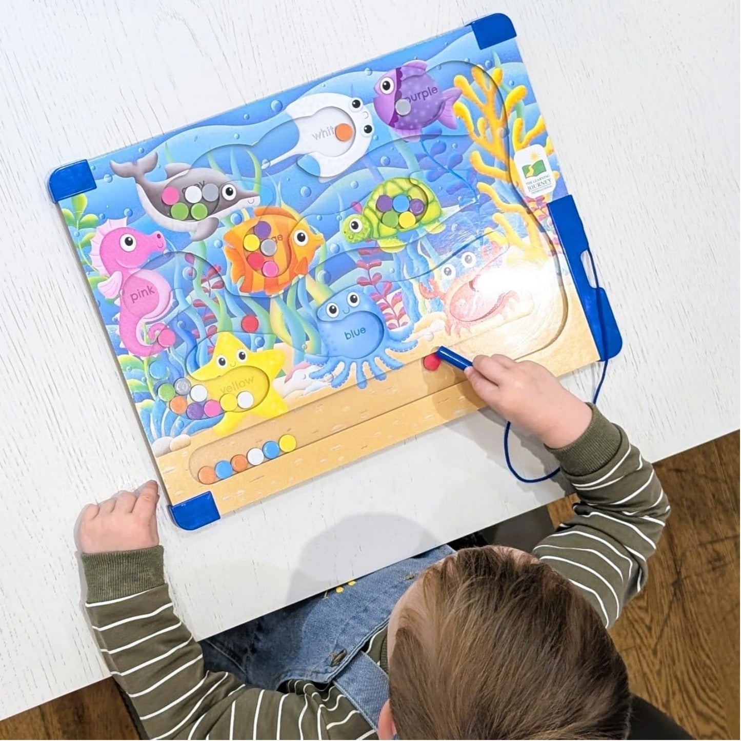 Colours Sea - Sort & Learn Magnetic Puzzles | Dexterity Game For Kids