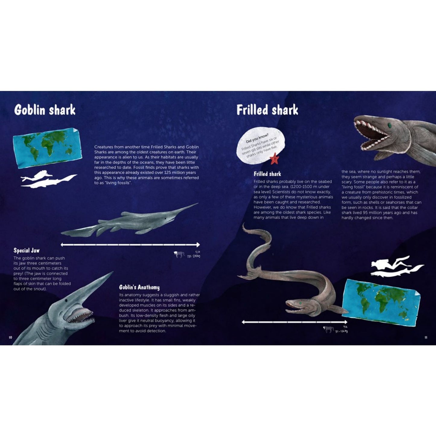 The World of Sharks: Get to Know the Fascinating Creatures of the Oceans | Hardcover | Children’s Book on Oceans & Seas