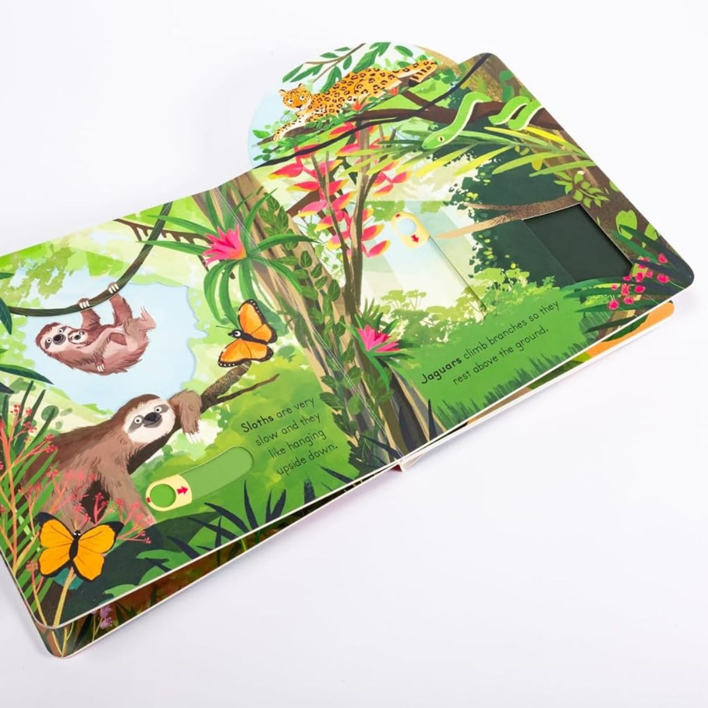 Jungle - Big Outdoors for Little Explorers | Interactive Board Book