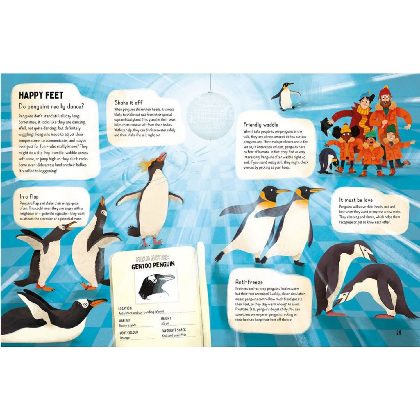 Do Penguins Like the Cold? | Hardcover | Children's Book on Nature