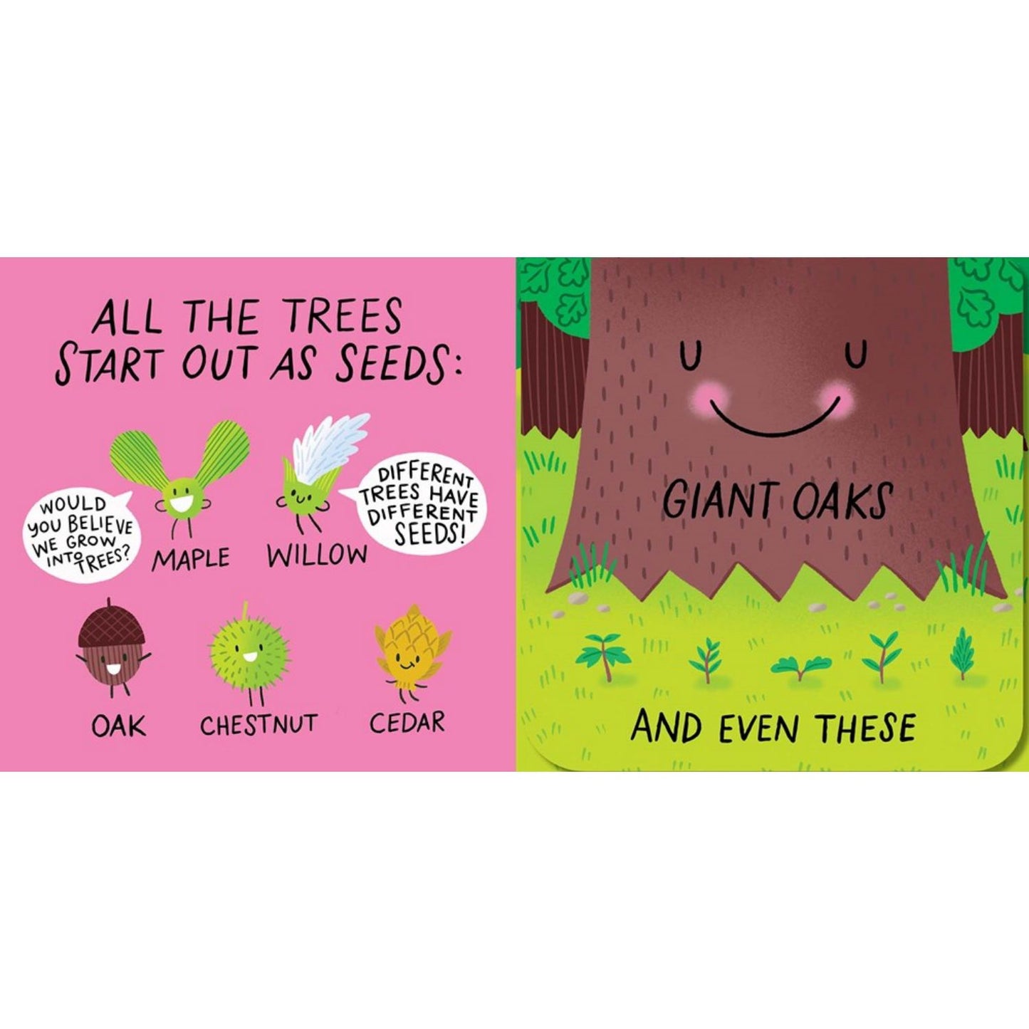 A Seed Will Grow | Interactive Board Book on Nature