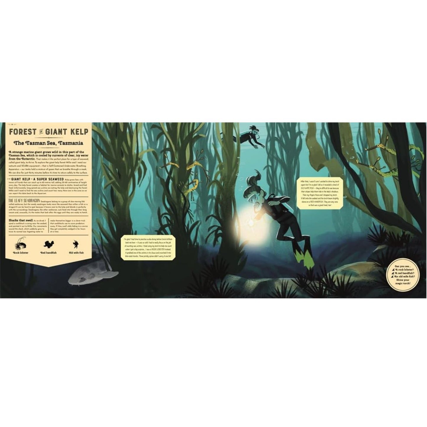 Mysteries of the Ocean: Includes Magic Torch Which Illuminates More Than 50 Marine Animals | Children's Book on Sea Life