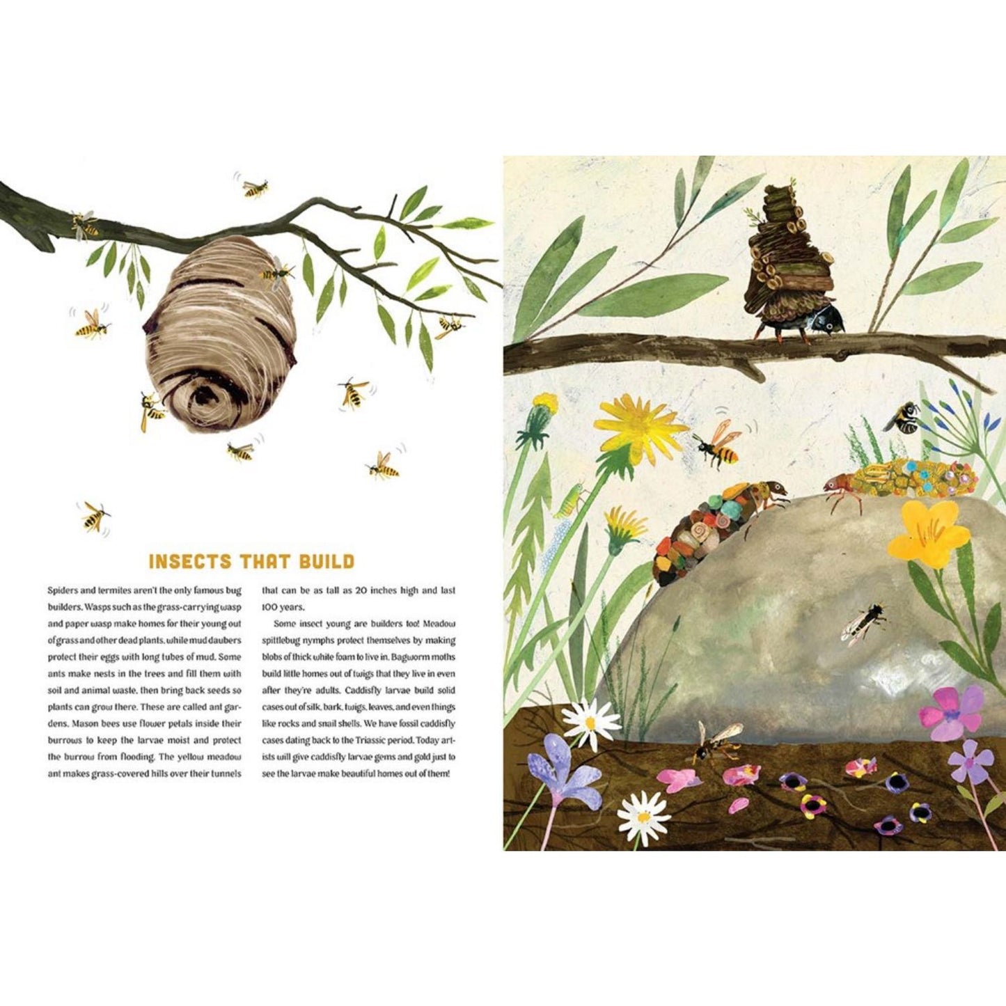 Bugs: A Skittery, Jittery History | Hardcover | Children's Books on Nature