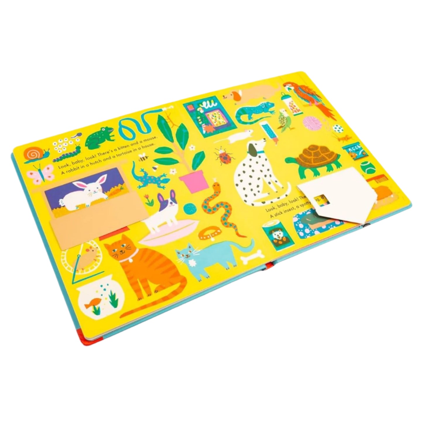 Colorful children's book with animal illustrations on a white background