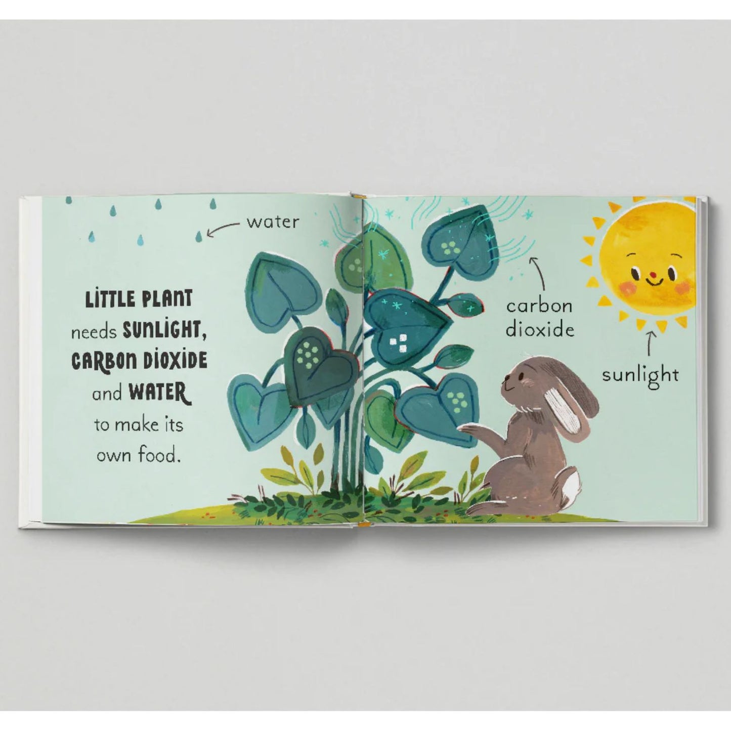 5 Minute Nature Story Box: First Science Concepts For Growing Minds! | Children's Books on Nature