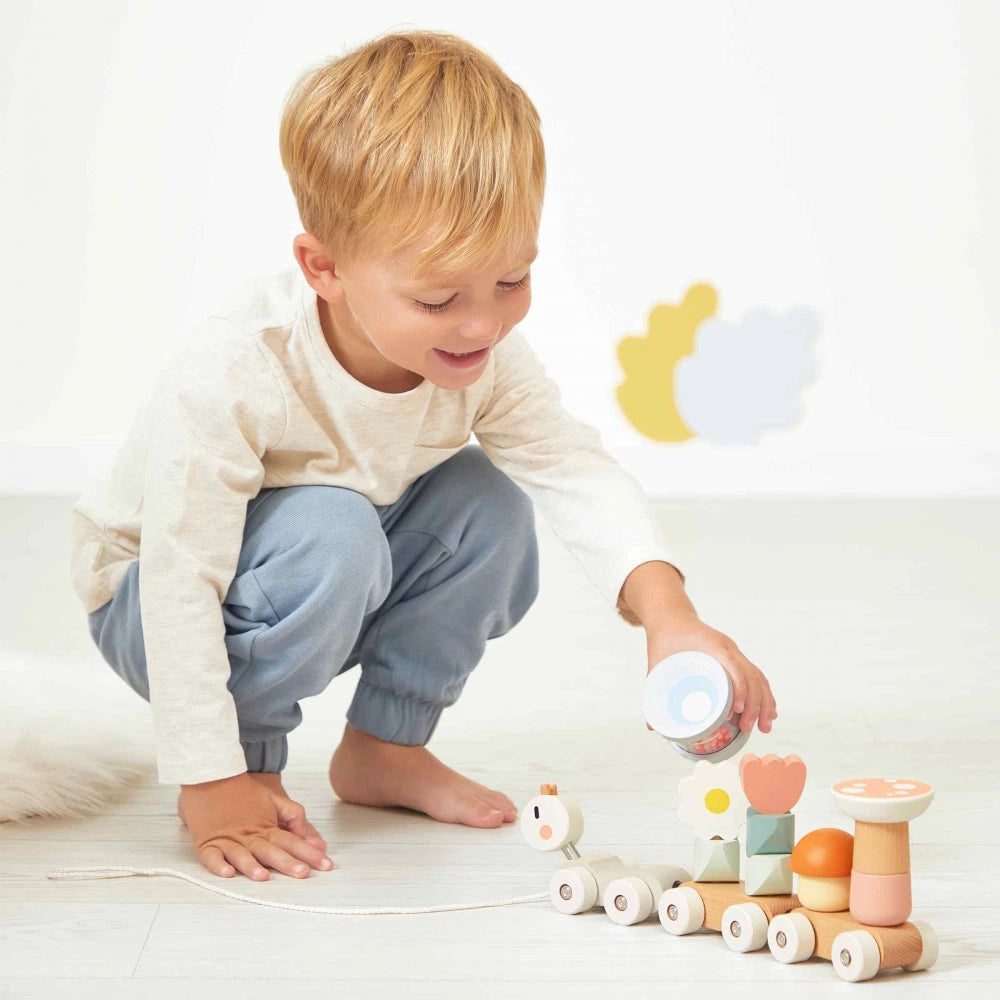 Sweet Cocoon Pull-Along Train | Wooden Toddler Activity Toy
