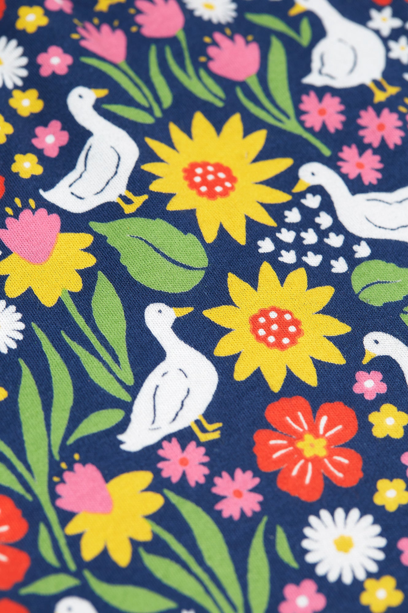 Springtime Ducks | Little Amelia Dress | Short Sleeve Dress | GOTS Organic Cotton