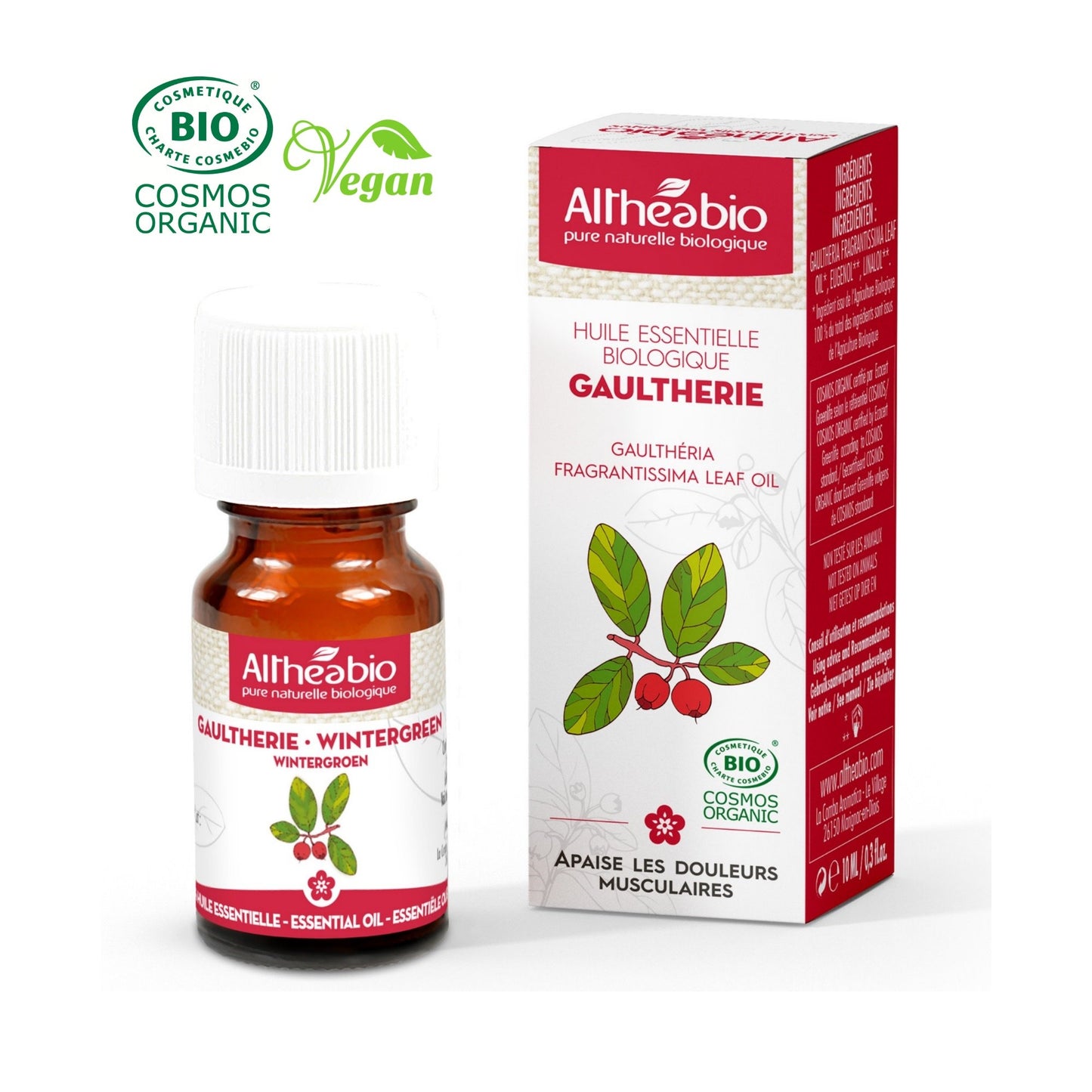 Organic Wintergreen Essential Oil Aromatherapy | BeoVERDE.ie