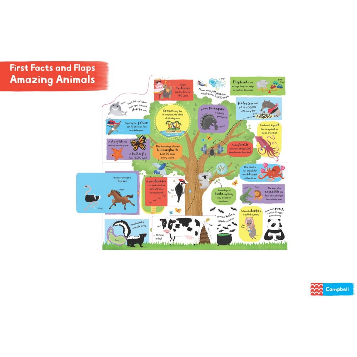 Amazing Animals | Children's Lift-the-Flap Board Book