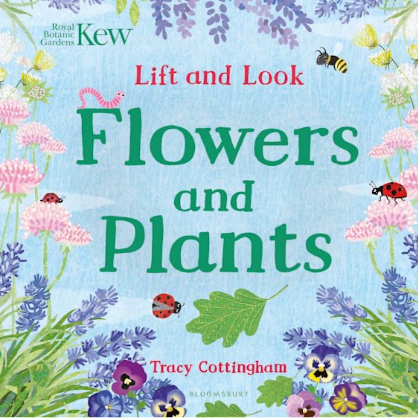Lift and Look Flowers and Plants - Kew | Children's Board Book on Nature