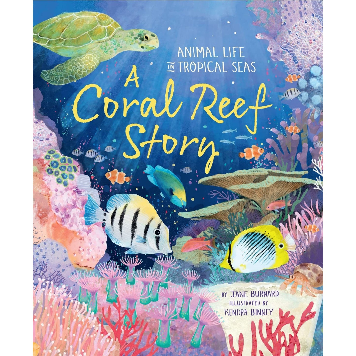 A Coral Reef Story: Animal Life in Tropical Seas | Hardcover | Children’s Book on Oceans & Seas