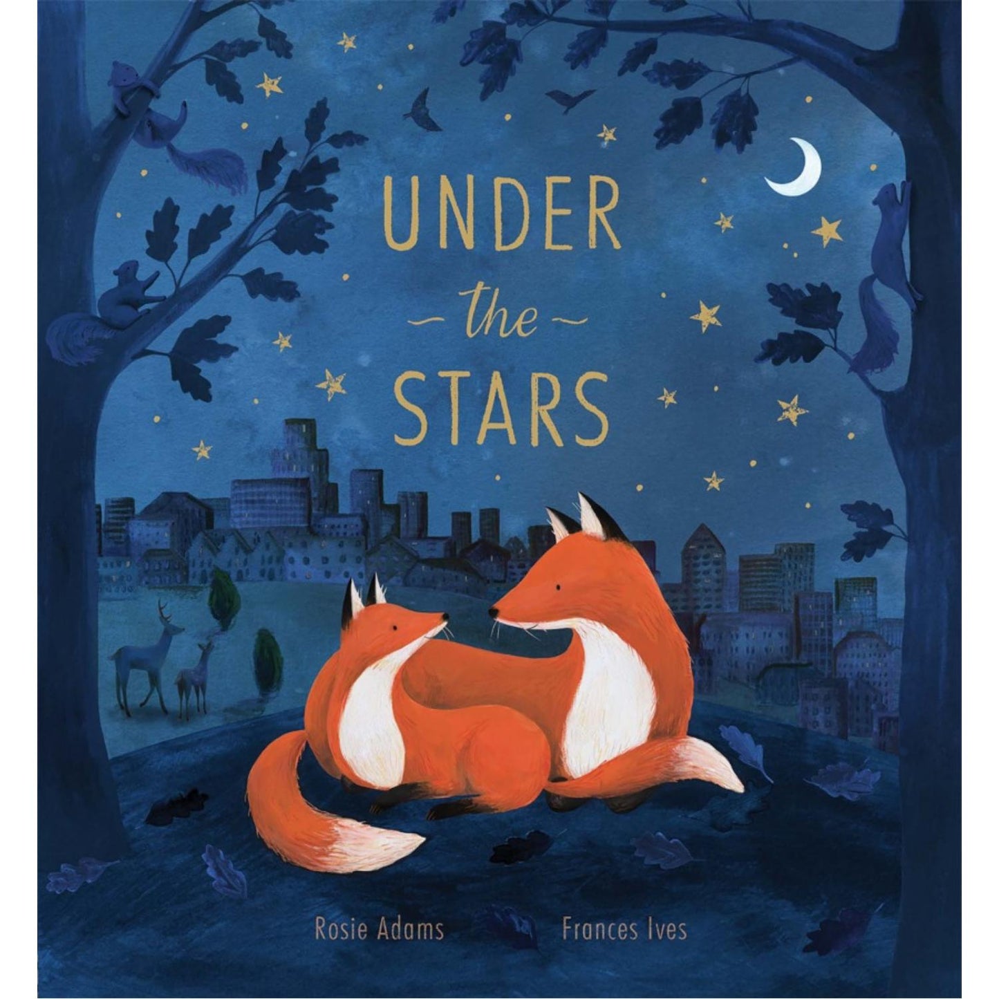 Under the Stars | Children’s Picture Book