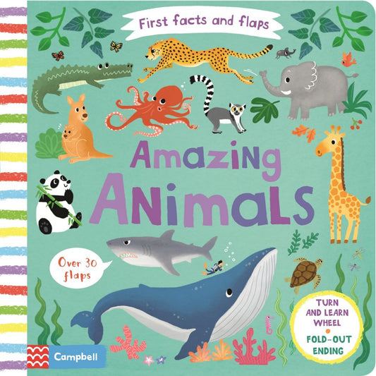 Amazing Animals | Children's Lift-the-Flap Board Book