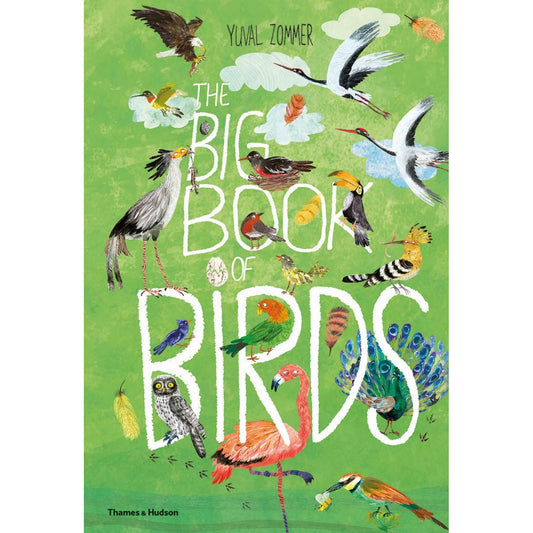 The Big Book of Birds | Children's Picture Book on Birds