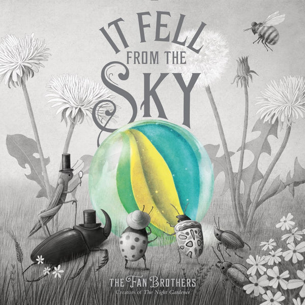 It Fell From The Sky | Hardcover | Children's Book on Belonging & Understanding