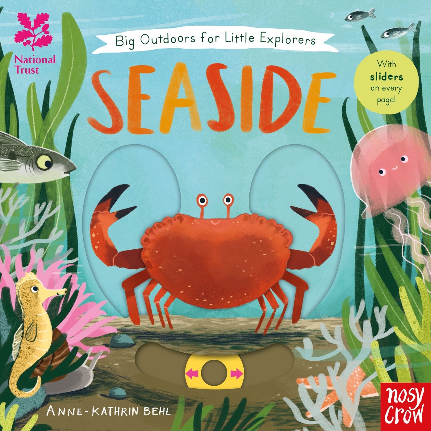 Seaside - Big Outdoors for Little Explorers | Interactive Board Book
