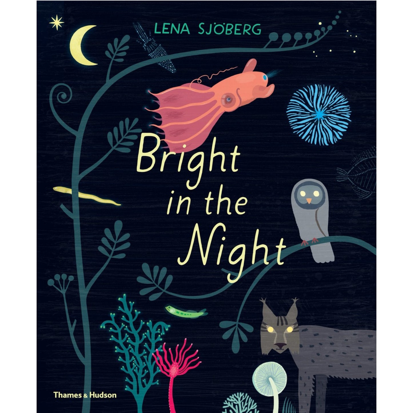 Bright in the Night | Children's Book on Nature