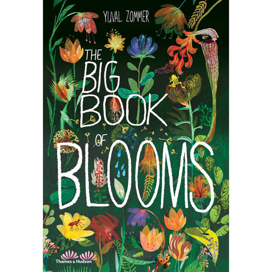The Big Book of Blooms | Children's Picture Book on Plants & Flowers