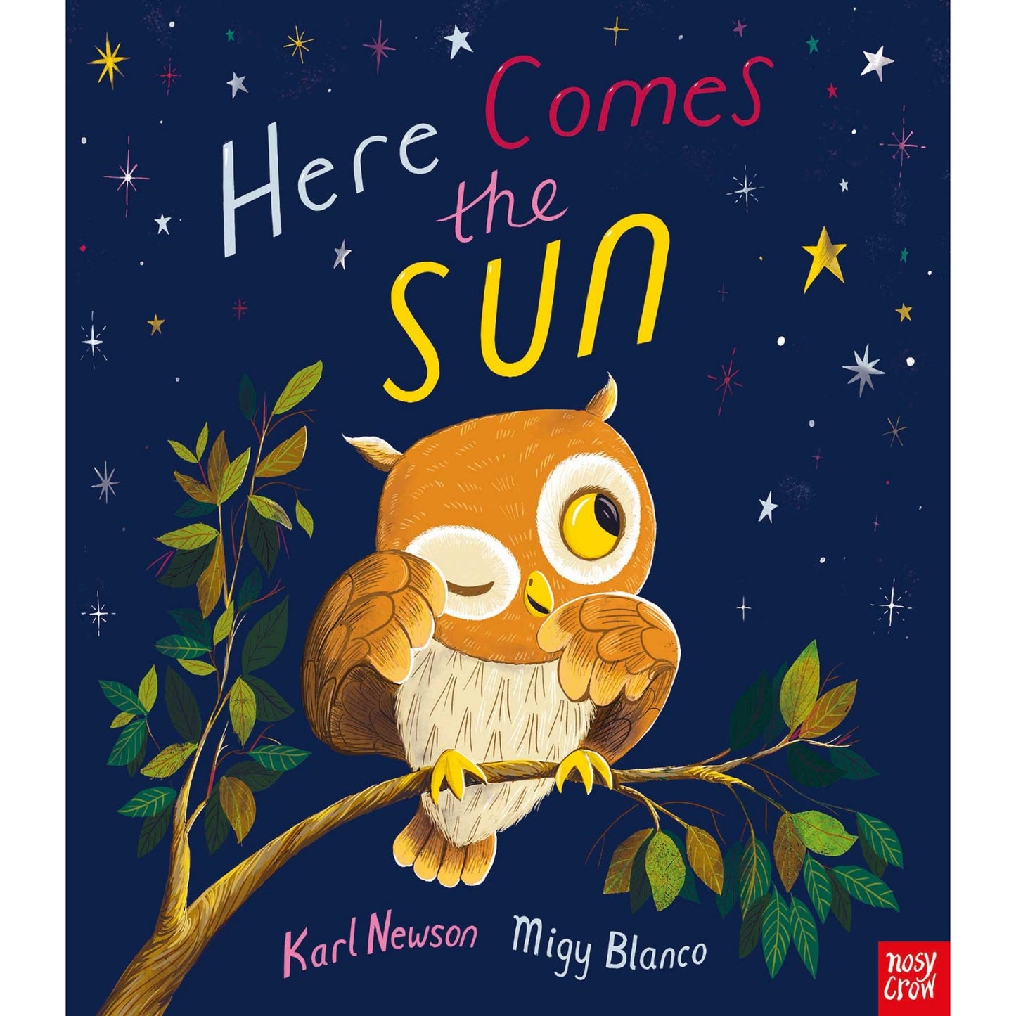 Here Comes The Sun | Children’s Book on Animals