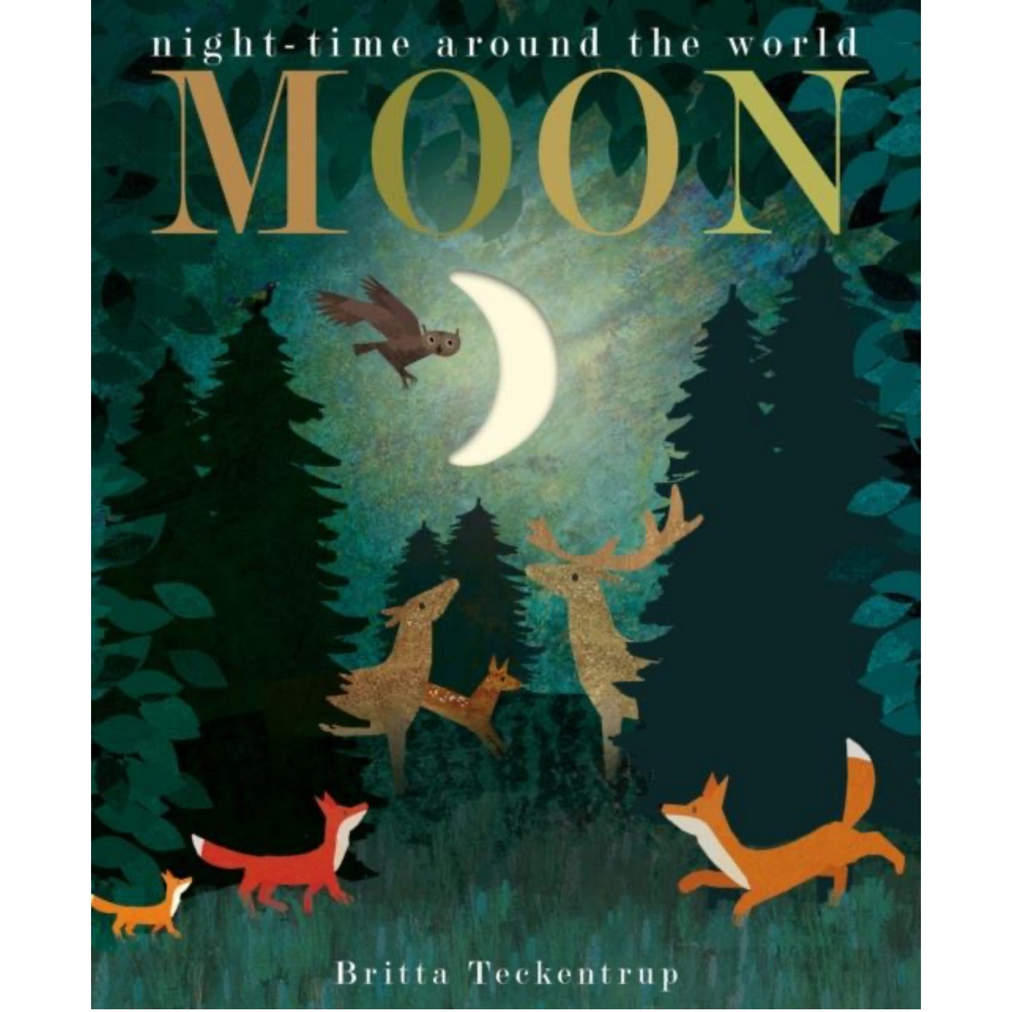 Moon: Night-Time Around The World | Children’s Picture Book on Nature