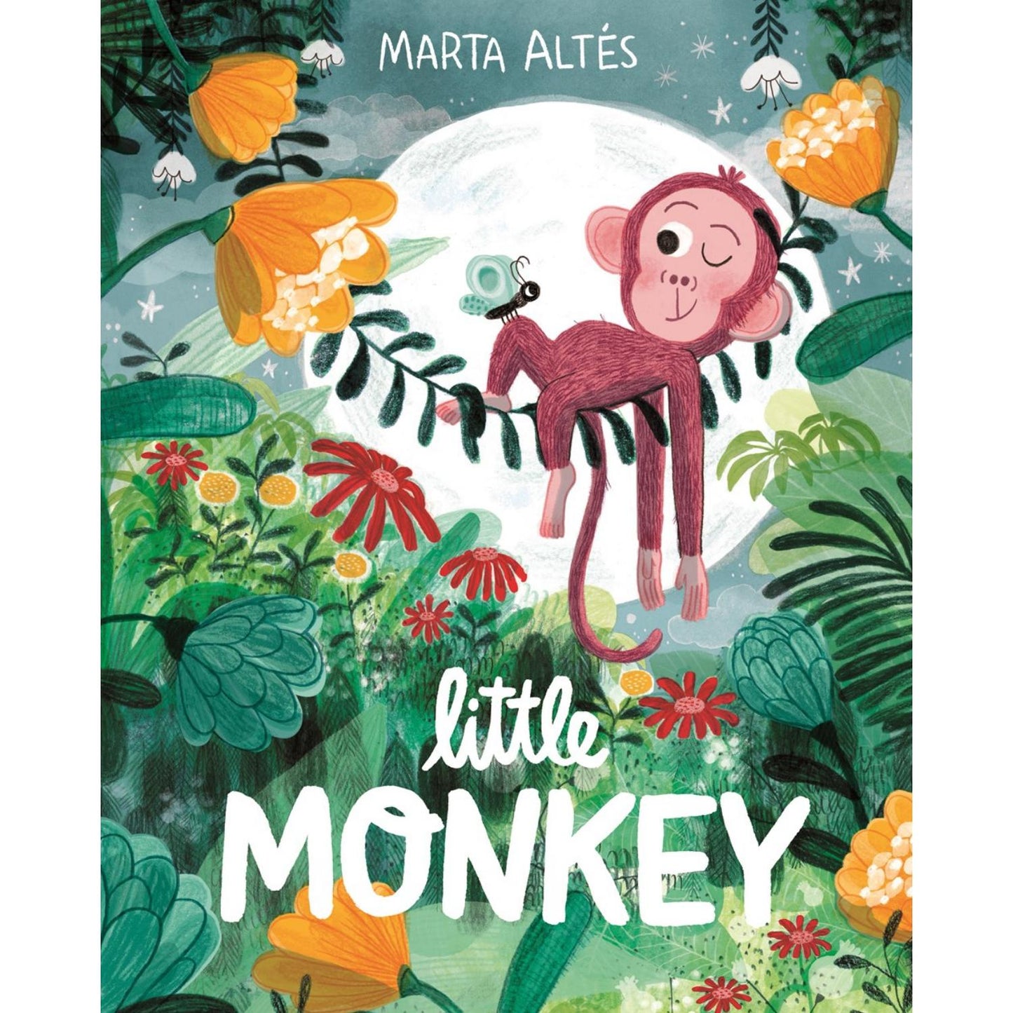 Little Monkey | Children's Picture Book on Adventures