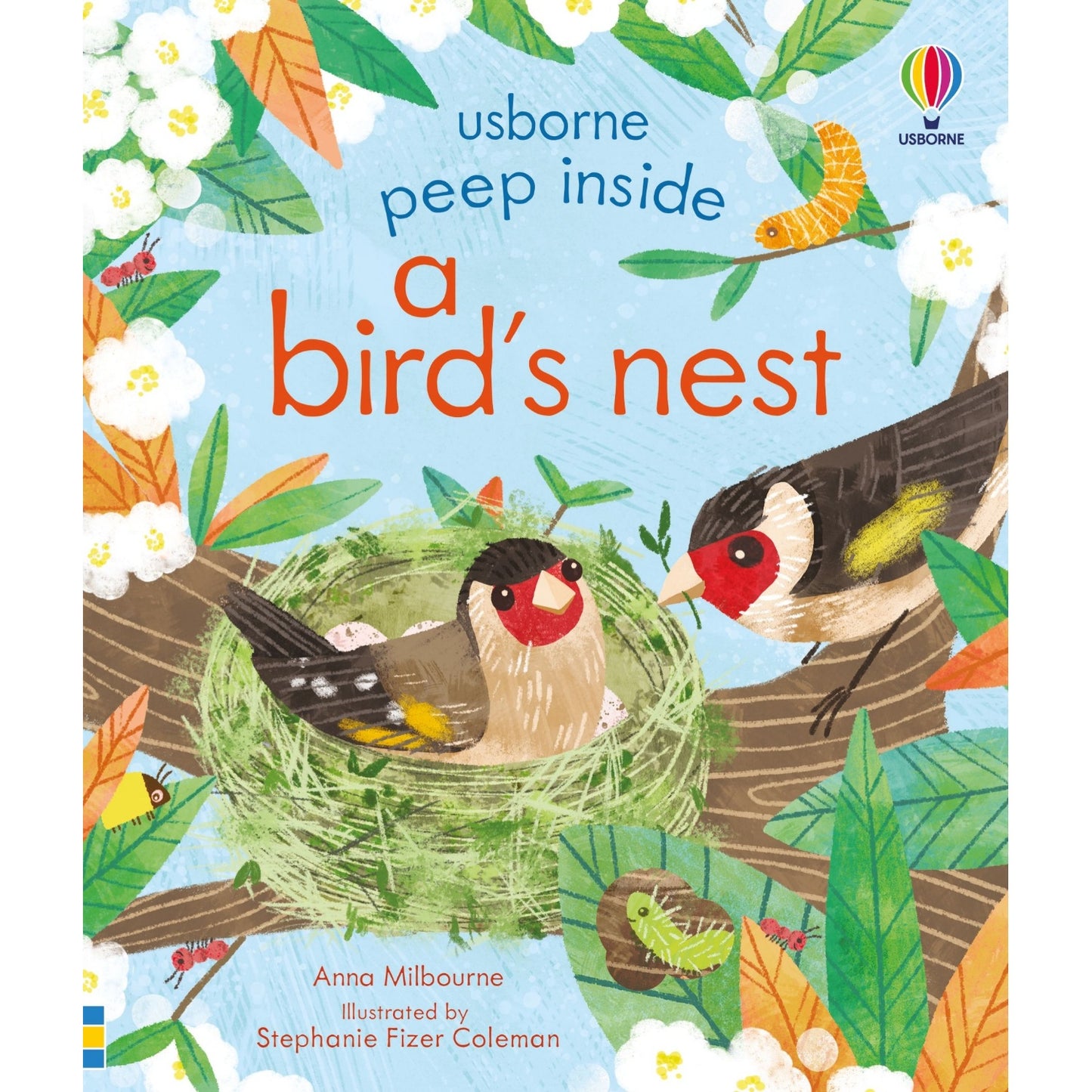 Peep Inside a Bird’s Nest | Children's Board Book on Nature