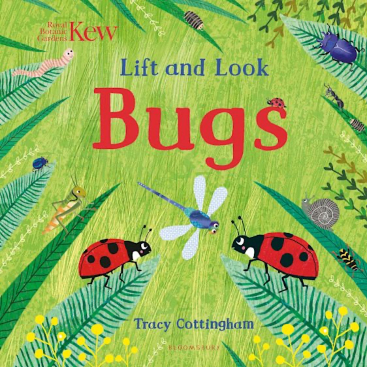 Lift and Look Bugs - Kew | Children's Board Book on Nature