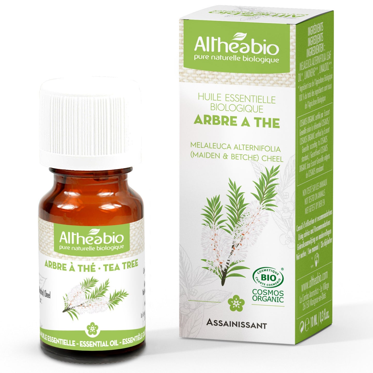 Organic Tea Tree Essential Oil Aromatherapy | BeoVERDE.ie
