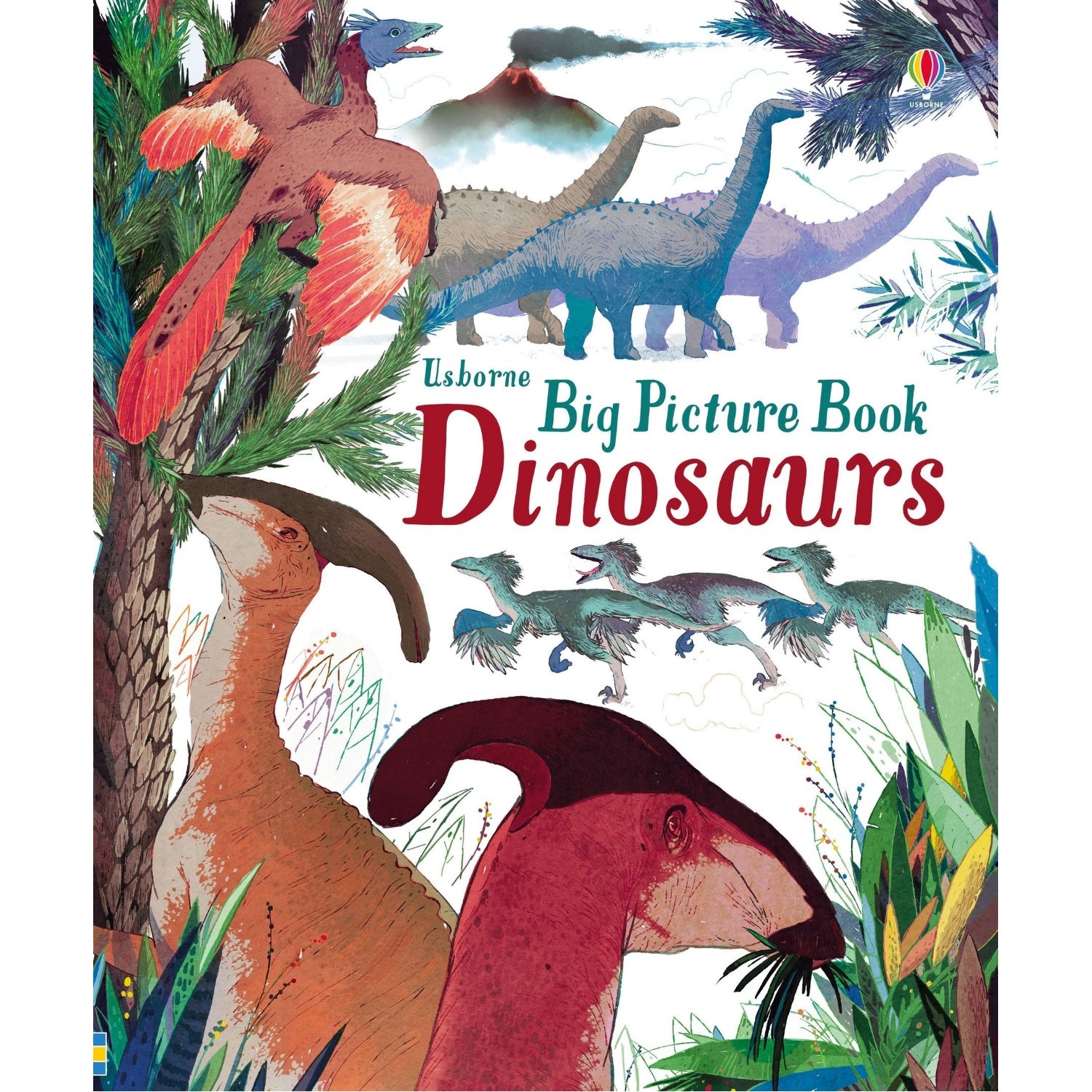 Big Picture Book Dinosaurs | Children's Book on Dinosaurs | Usborne | Book Cover | BeoVERDE.ie