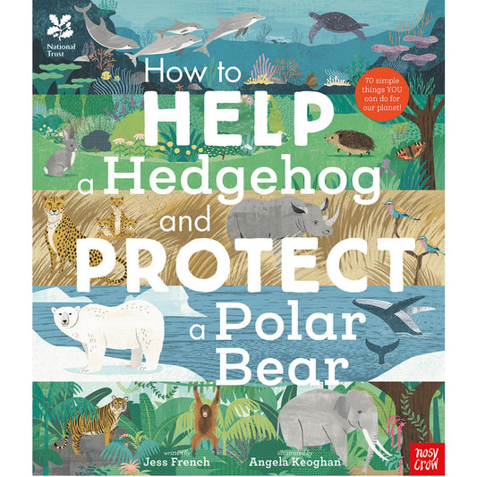 How to Help a Hedgehog and Protect a Polar Bear | Paperback | Children's Books on Nature