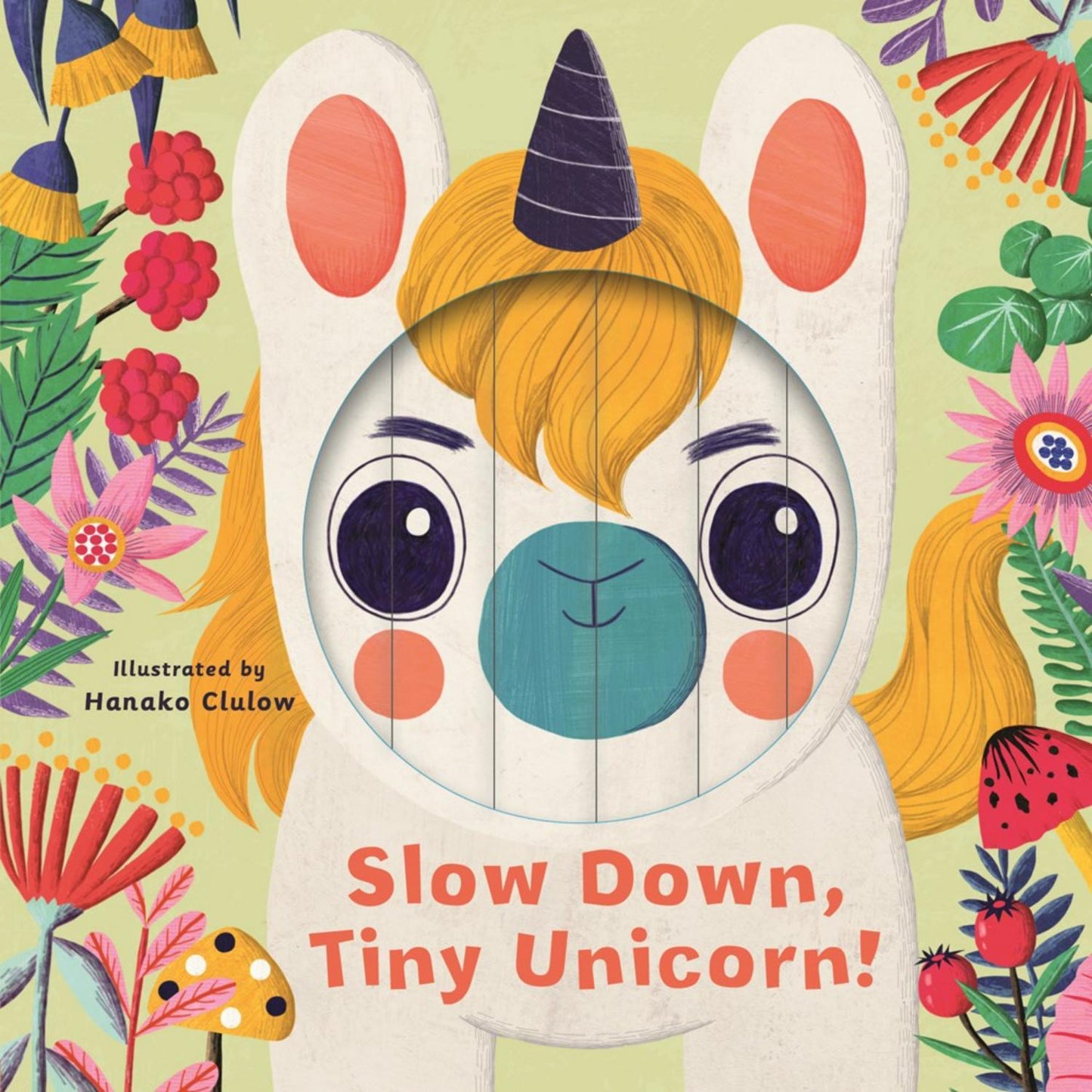 Slow Down, Tiny Unicorn!  - Little Faces Series | Interactive Board Book for Babies & Toddlers