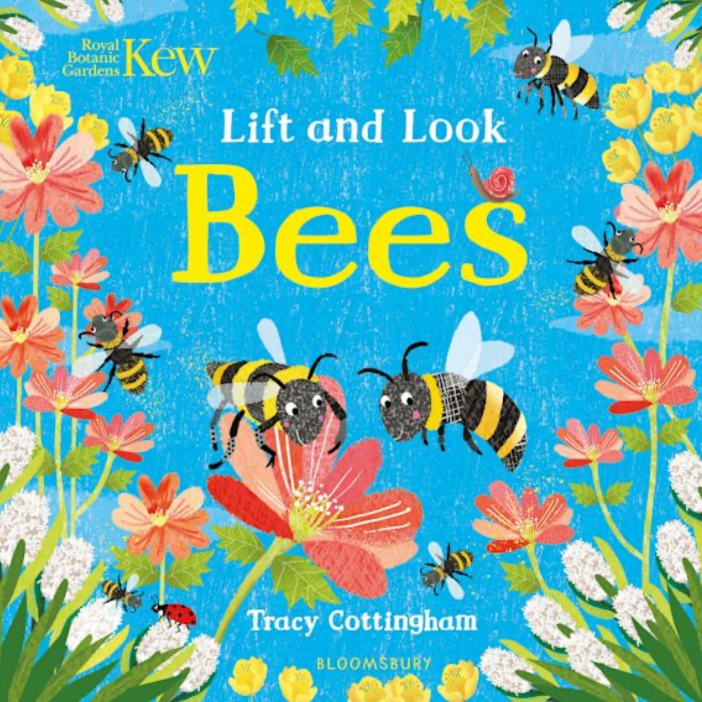 Lift and Look Bees - Kew | Children's Board Book on Nature