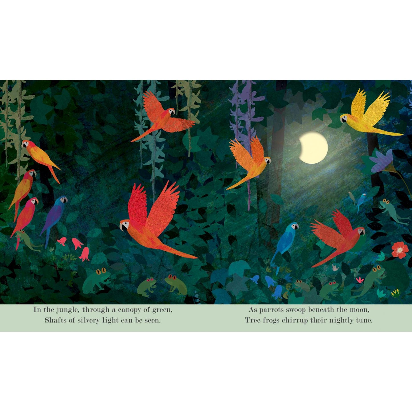 Moon: Night-Time Around The World | Children’s Picture Book on Nature