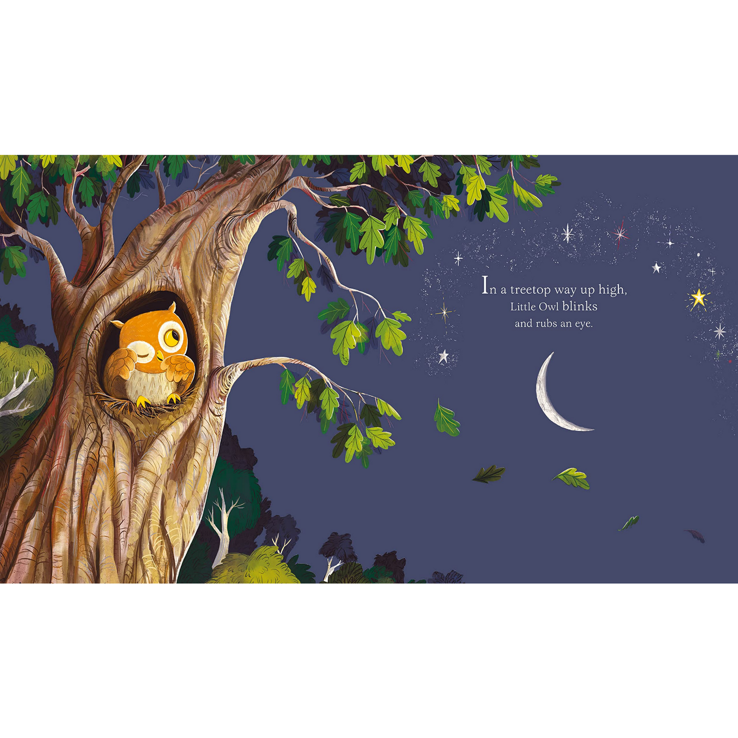 Little Owl's Bedtime | Children’s Book on Animals
