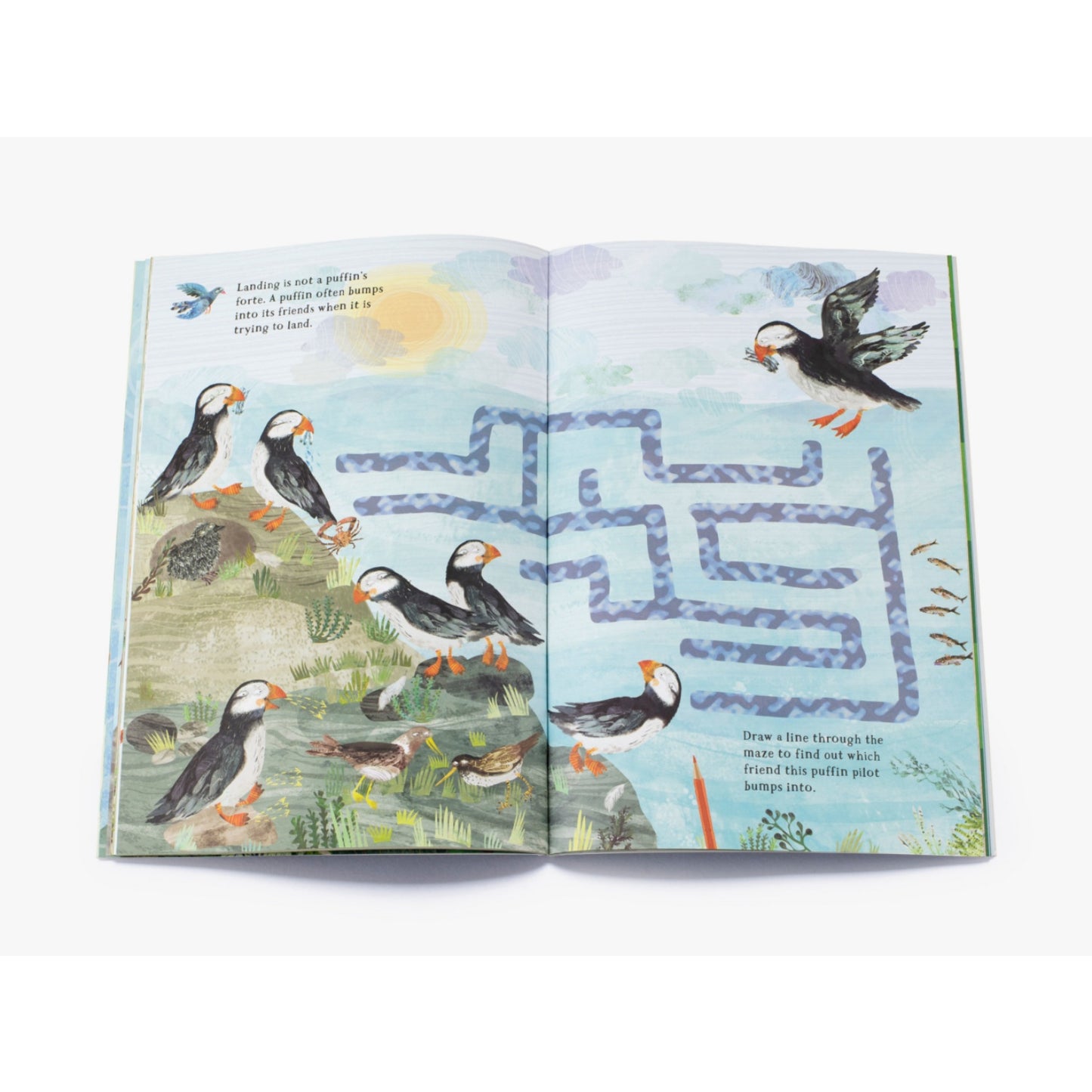 The Big Sticker Book of Birds | Children's Activity Book on Birds