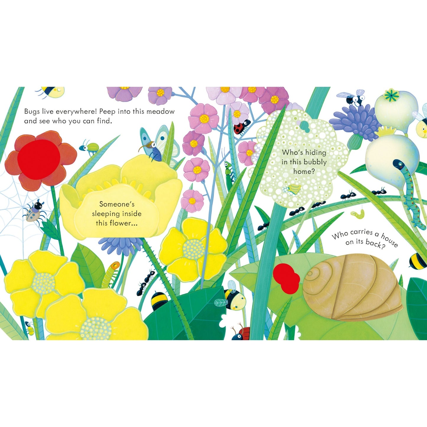 Peep Inside Bug Homes | Children's Book on Nature