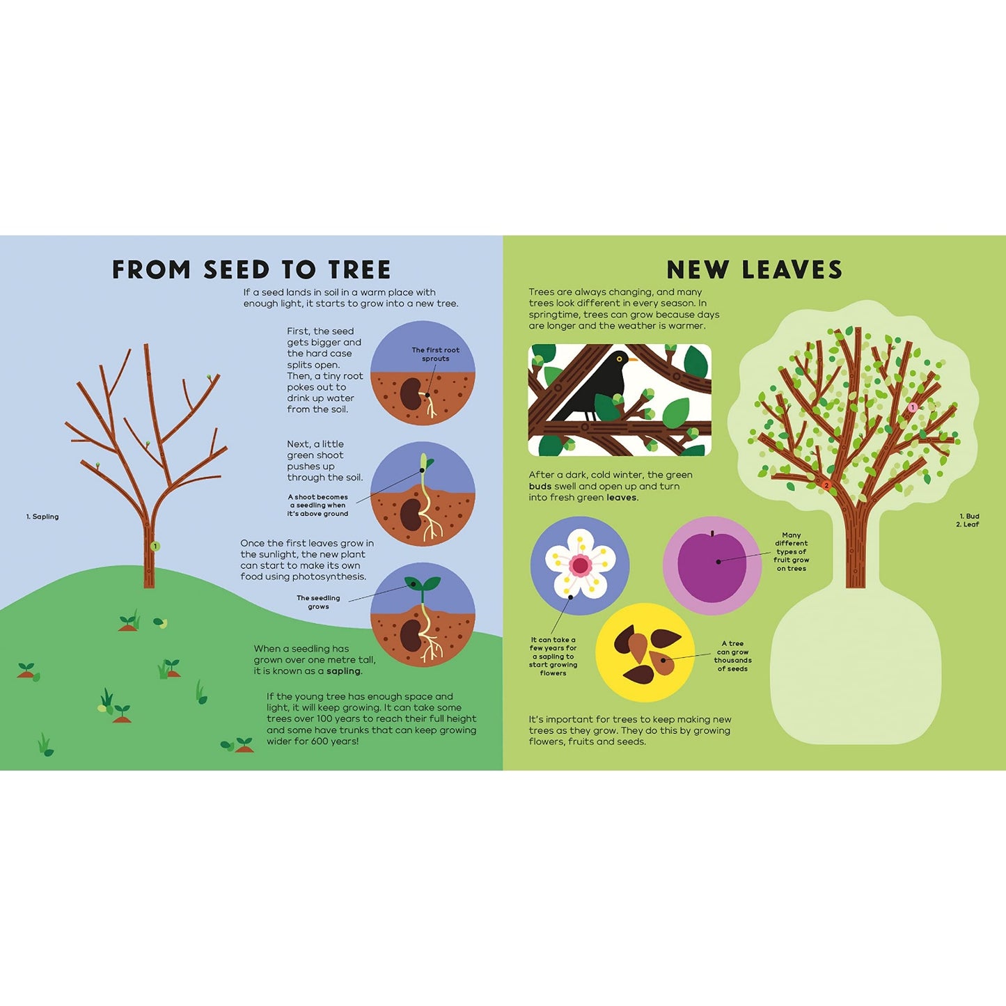 The Tree Book | Hardcover | Children’s Book on Nature