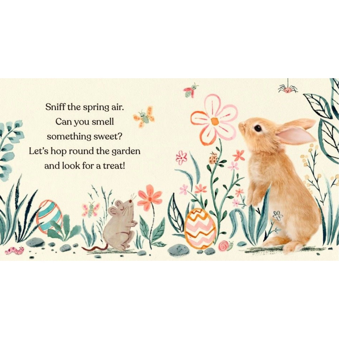 Happy Easter Little Bunny | Children's Books on Animals