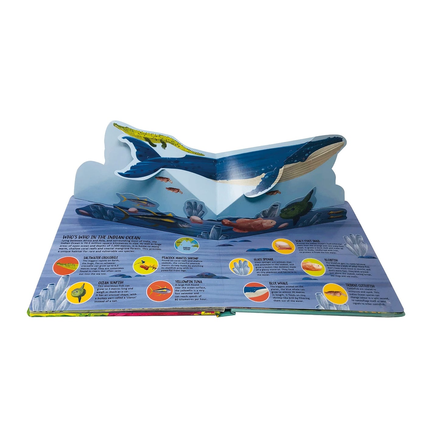 Oceans - Pop-Up Planet | Hardcover | Children’s Book on Nature