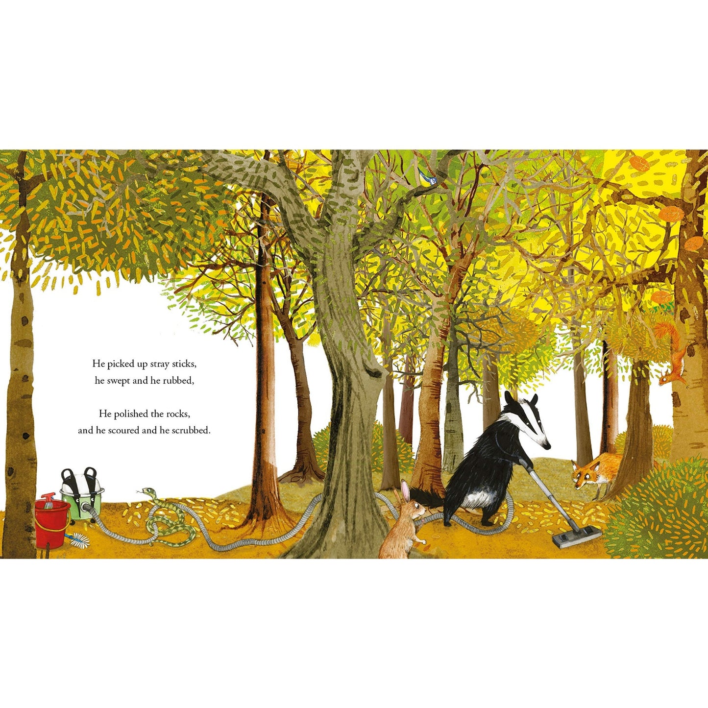 Tidy | Children's Picture Book on Protecting the Environment