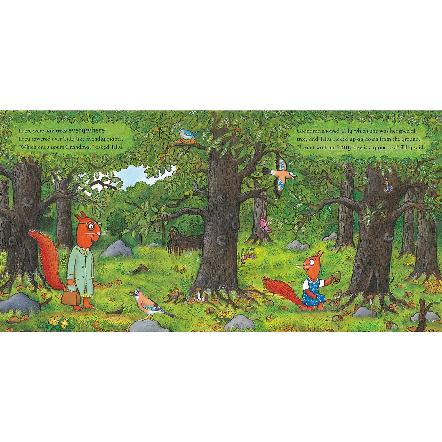 Tilly Plants a Tree | Hardcover | Children’s Book on Nature
